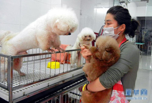 undefined{{pos:,w:,h:}}