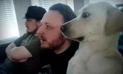 这眼神，你看懂了吗