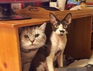 原来脸和脸的区别真的可以很大