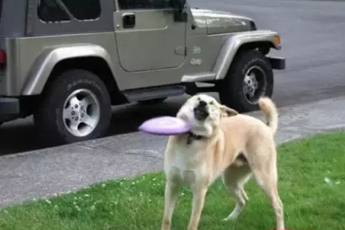 速度太快了，一时没看到