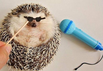 帮我把眼镜扶好，我要开唱了