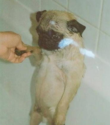 不就洗个澡澡吗，委屈成内个样子