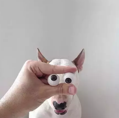 麻烦把我的眼球装回去