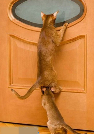 马上可以看见了