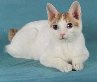 undefined{{pos:,w:,h:}}