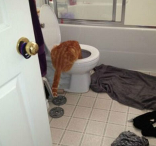 这二货不知道是不是昨晚Party喝多了