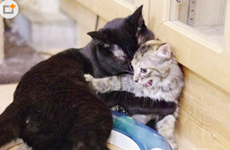 别这样，大家都在看啊！