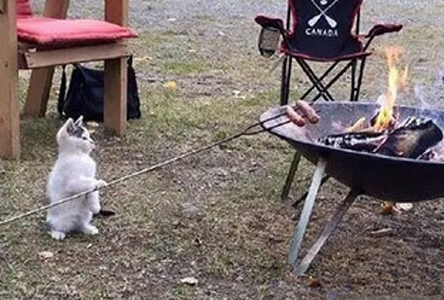 自己动手，丰衣足食！