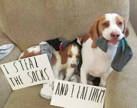  对不起，我错了！ 