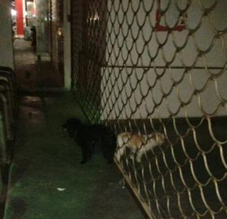 我就是想知道，它们是怎么做到的