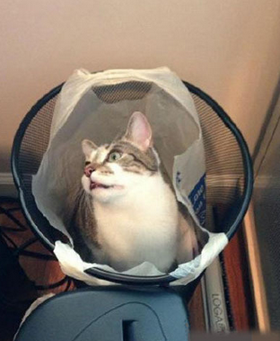 垃圾桶里的东西放太久也不好，该拿去丢掉了