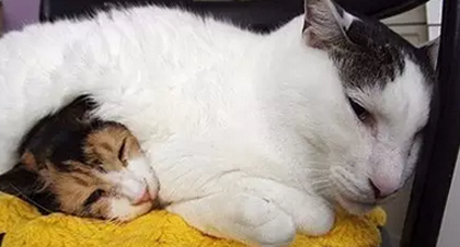 被子太重了，也不好！