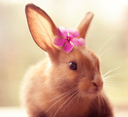 今天就这么出门吧