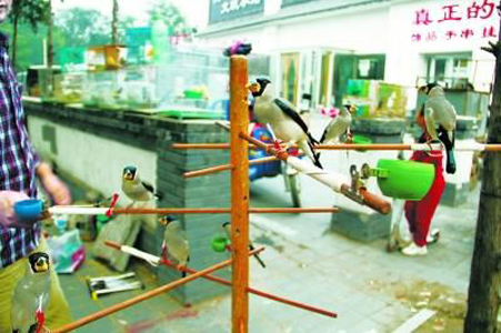 undefined{{pos:,w:,h:}}