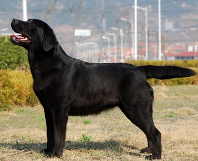 undefined{{pos:,w:,h:}}