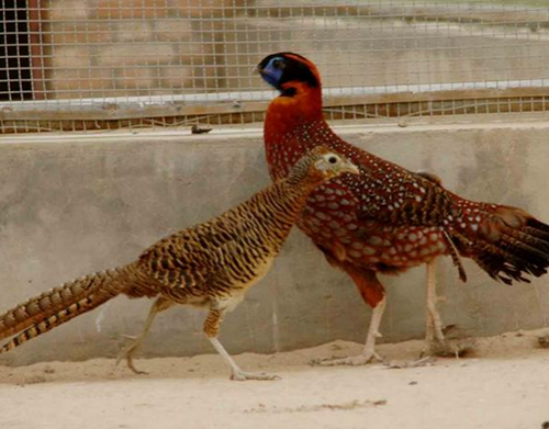 undefined{{pos:,w:,h:}}