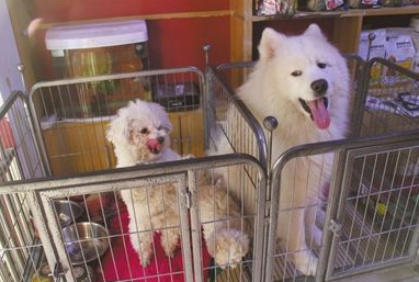 undefined{{pos:,w:,h:}}