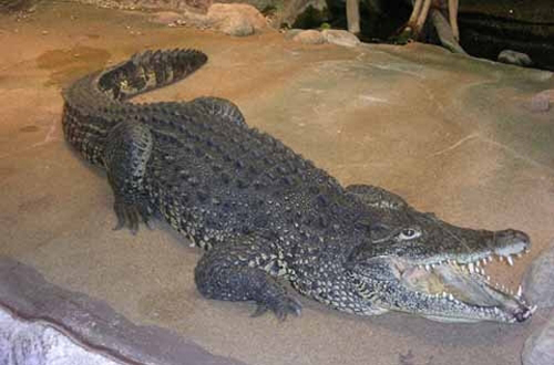 undefined{{pos:,w:,h:}}