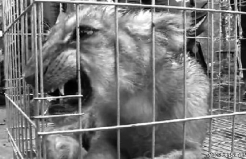 undefined{{pos:,w:,h:}}