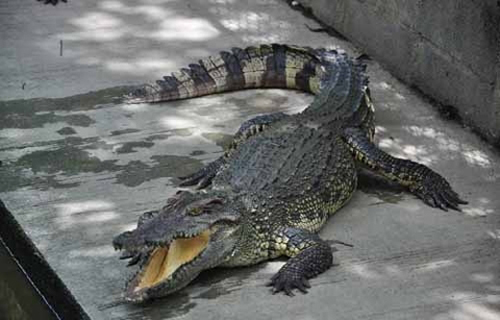 undefined{{pos:,w:,h:}}