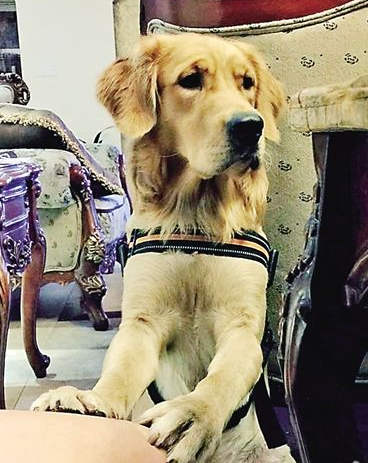 undefined{{pos:,w:,h:}}