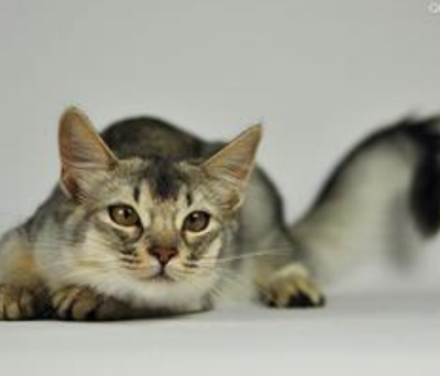 undefined{{pos:,w:,h:}}