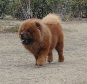 undefined{{pos:,w:,h:}}