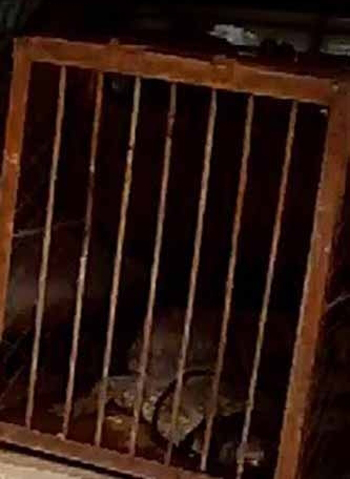 undefined{{pos:,w:,h:}}