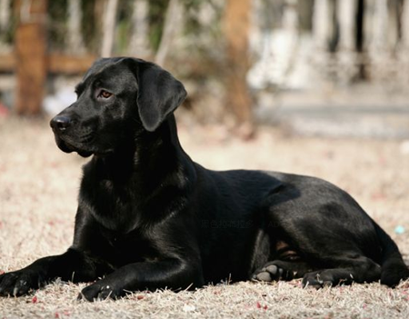 undefined{{pos:,w:,h:}}