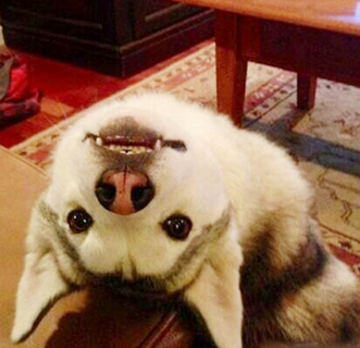 看！咱这身段怎样