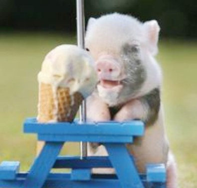 这吃的不要太爽哦！