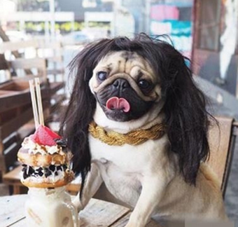 贵妇般的生活！