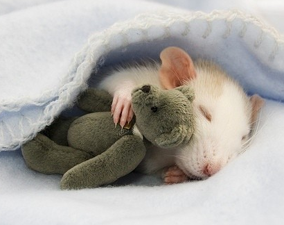 好甜美的一个梦啊