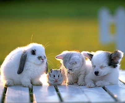 我们四个很要好