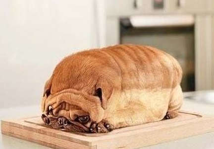 他们都说我长得像面包，哪里像？