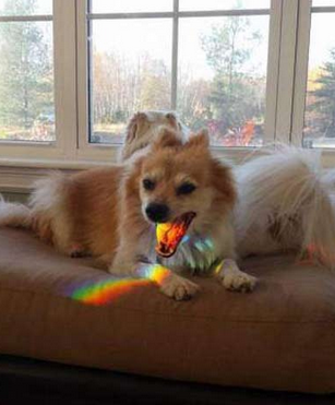 彩虹的味道好不好