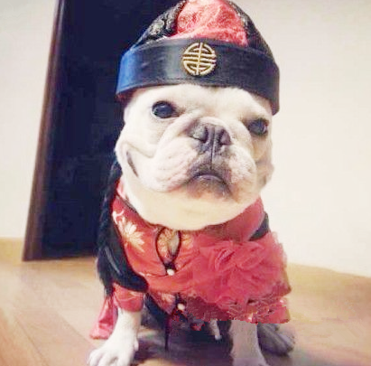 穿这么华丽，这是要当新郎官的节奏啊！