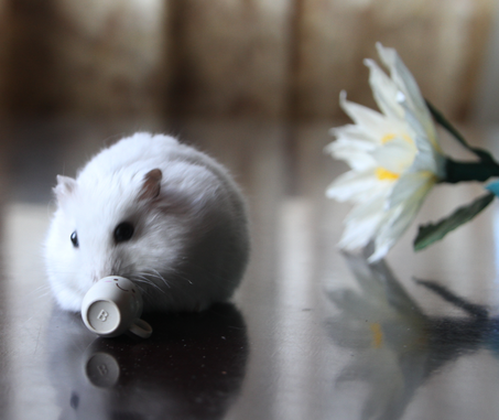 这个杯子不是给你喝水的