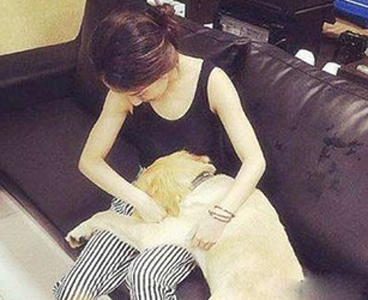 二汪你这是在耍无赖吗