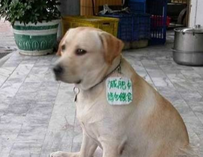 怪不得最近没零食吃