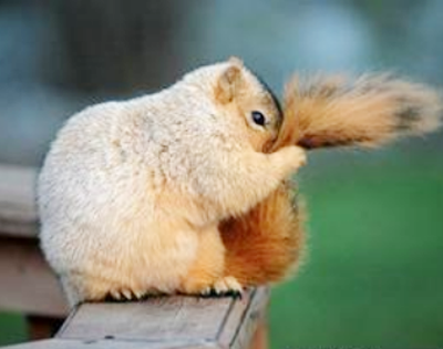 别看了，人家好害羞