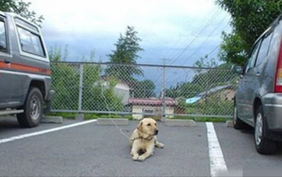 这个占车位的是谁啊？