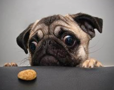 你能帮我拿一下吗