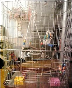 中型鹦鹉鸟笼