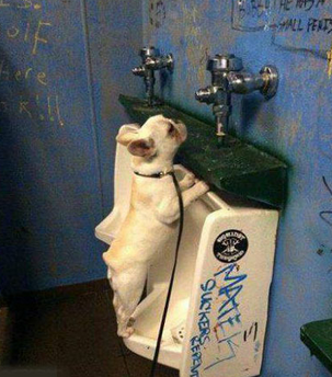 妈妈说要讲卫生