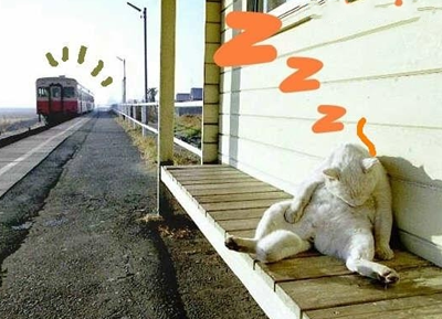 车来了，醒醒啊