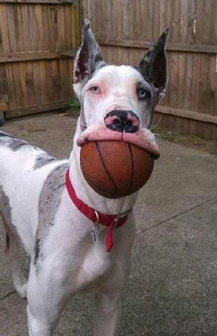 就不能换个小点的球吗