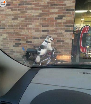 居然在这开黑车