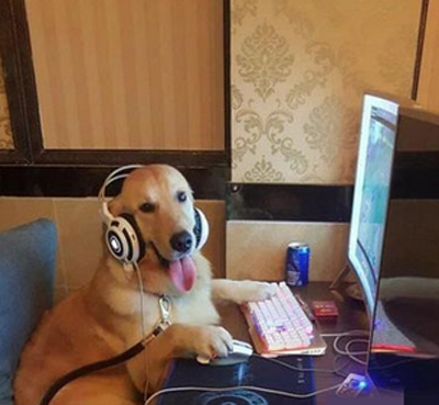 二汪也是个视频爱好者！