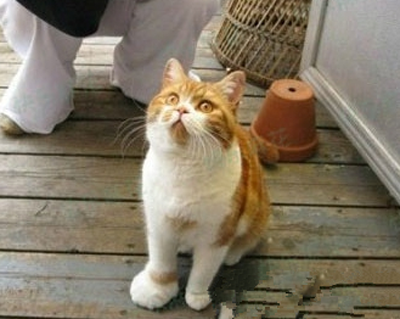 宝贝，这腿儿还是你的腿儿吗？